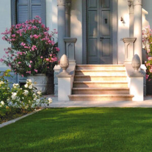 Excellent Green | Lucon