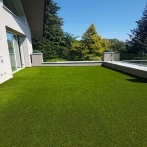 Excellent Green | Lucon
