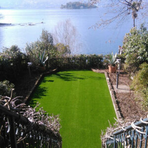 Excellent Green | Lucon