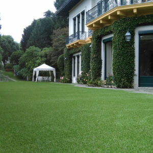 Excellent Green | Lucon