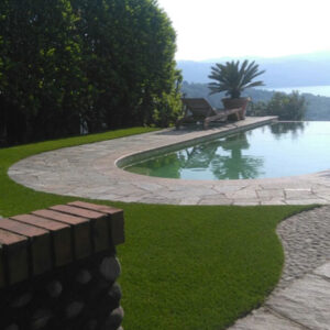 Excellent Green | Lucon