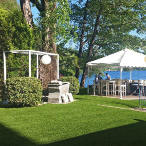 Excellent Green | Lucon