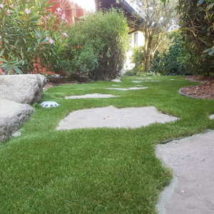 Excellent Green | Lucon